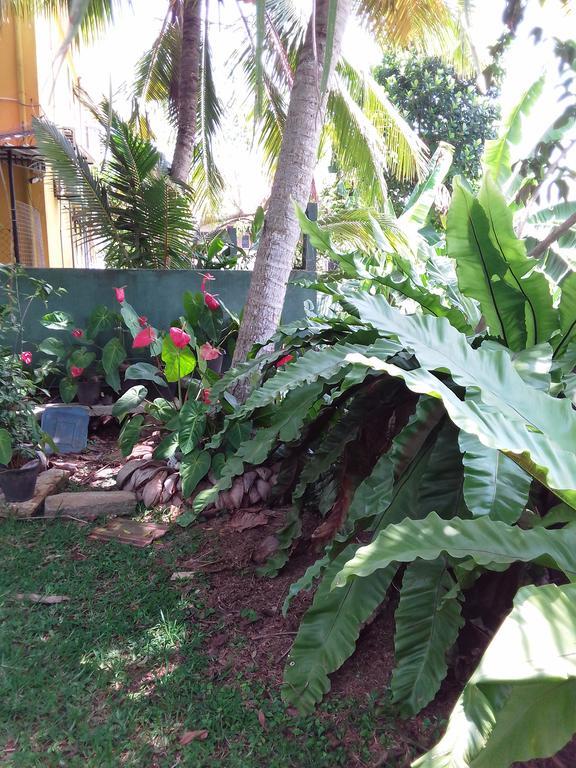 Serenity Villa Хиккадува Экстерьер фото